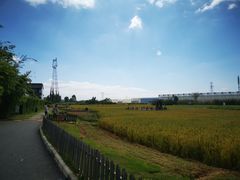 -禾悦庄餐厅