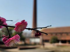 -祝甸砖窑文化馆