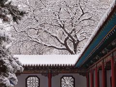 -晋祠公园