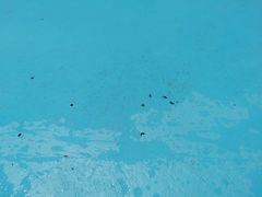 -美的鹭湖探索王国