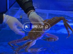 -东味北道熟成·炭火烤肉(九龙店)