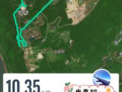 -铁山坪森林公园