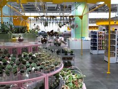 -KKV(深圳宏发大仟里店)