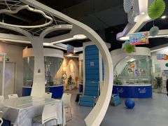 -博沃思·专注力·心理咨询·家庭教育(世豪中心)