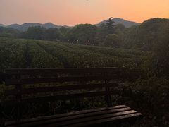 -中国茶叶博物馆(双峰馆区)