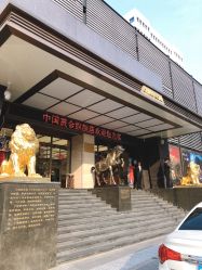 -中国黄金(北京旗舰店)