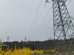-白水寺森林公园