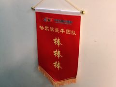 -瑞派宠物医院·24小时骨科·心脏·核磁(哈尔滨南岗店)