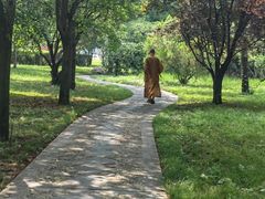 -洛阳白马寺