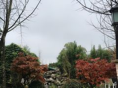 -洪湖家庭农场·团建·露营·会议