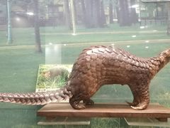 -下渚湖国家湿地公园科普馆