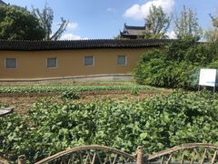 -重元寺香积厨素斋馆