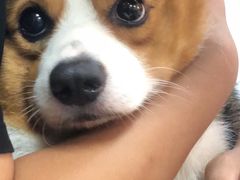 -东怡大酒店(上海科技馆店)