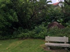 -龙山酒店温泉