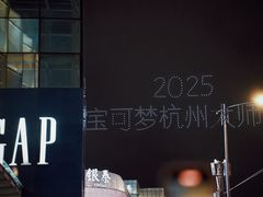 -西湖游船