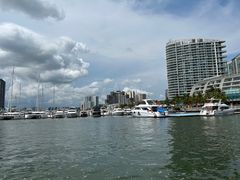 -小猫钓鱼海钓俱乐部(椰梦长廊店)