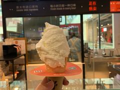 -野人先生现做冰淇淋(西安赛格店)