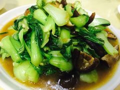 冬菇炒油菜-华春餐馆(鱼山路店)