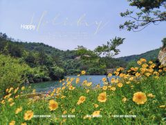 -姚家山旅游风景区