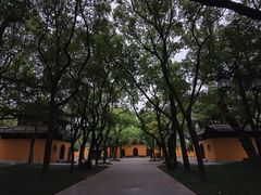-西园戒幢律寺