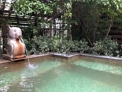 -张家港金凤凰度假村温泉