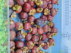 -东吴水韵(吴中店)