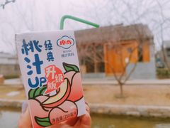 -春风习习