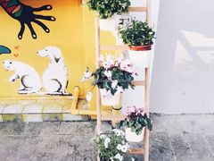 -茶是一枝花泡茶店