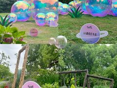 -上海共青森林公园