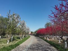 -永定河休闲森林公园