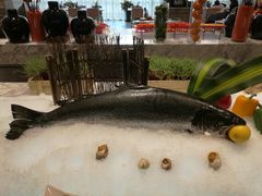 -沈阳和平艾美酒店新食谱西餐厅