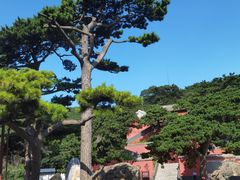 -妙峰山风景名胜区