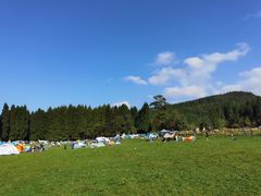 -武陵山森林公园