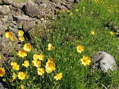 -白塘生态植物园