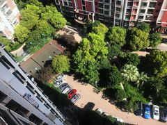 -世纪同乐绿地世纪城二期