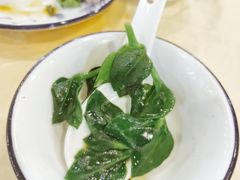 田七叶-一煲鸽