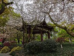 -苏堤停车场
