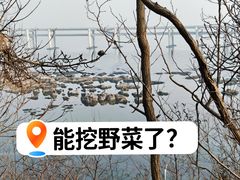 -黑石礁公园