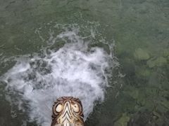 -芦芽山旅游度假区