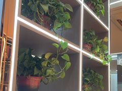 -寂寞的豆芽 蒙古原切大串(金宇店)