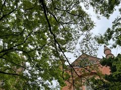 -上海佘山国家森林公园西佘山园