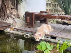 -自由生长植物工作室(深港花卉中心店)