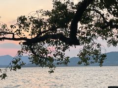 -西湖外事游船(湖滨二公园外事游船码头)