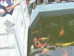 android_upload_pic-寻味肇庆·八姑农庄·广府西江菜