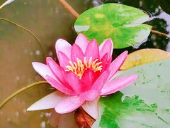 -南山风景名胜区