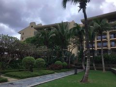 -采悦轩中餐厅·粤菜·海南菜(神州半岛喜来登度假酒店)