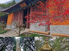 -紫阳古街