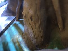 -暴风岛沉浸式体验馆(百联世纪店)