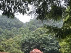 -缙云山景区