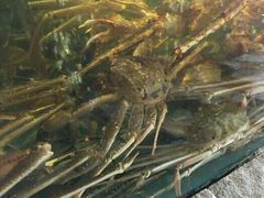 -蟹之国·精品蟹料理(极地店)